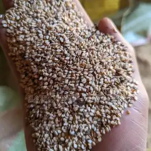 Sesame Seeds