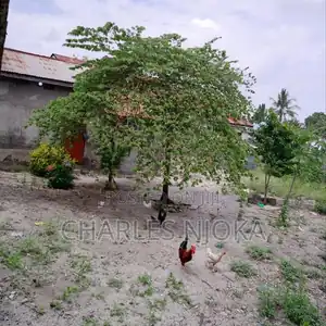 1500 Sqm Land for Sale in Ukonga Moshibar