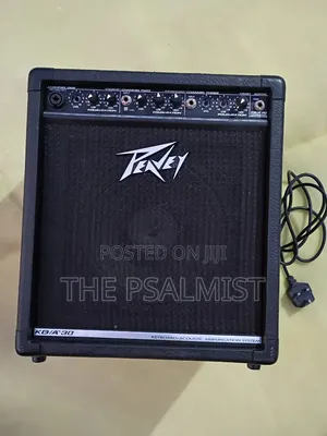 Peavey KB/A 30 Keyboard & Acoustic Combo Amplifier