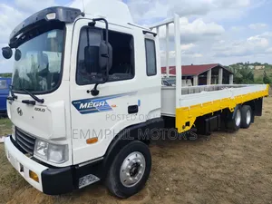 Hyundai Gold Double Axle Truck