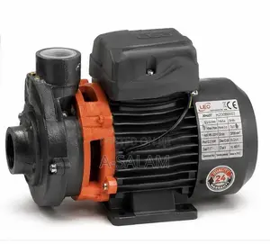 0.5HP Leo Surface Water Pump