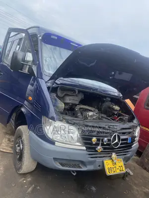 Mercedes-Benz Sprinter 2005 Bus