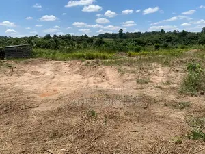 3 Acres Registered Land for Sale - Akotuakrom