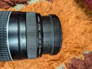 Canon EF 75-300mm f/5.6 Zoom Lens