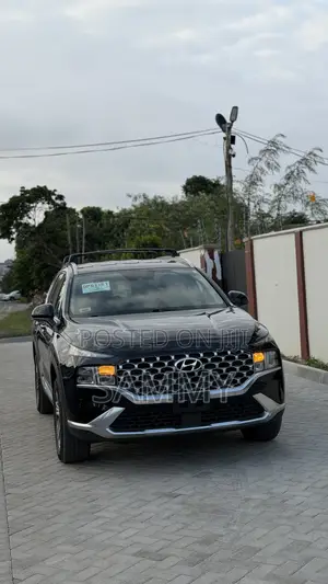 Hyundai Santa Fe Limited 2022 - Black
