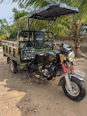 Apsonic AP200GY-7 Tricycle 2024 Green