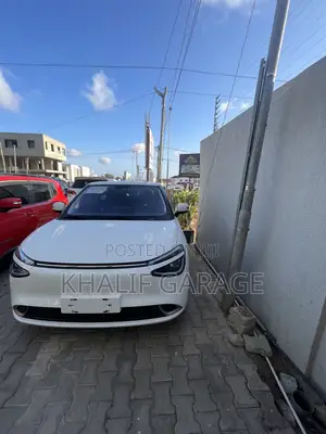 Dongfeng Nammi 01 31.45 kWh 330 Plus 2024 White
