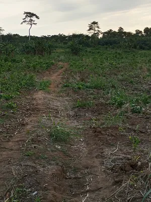 Farmland for Sale - Agona West Municipal