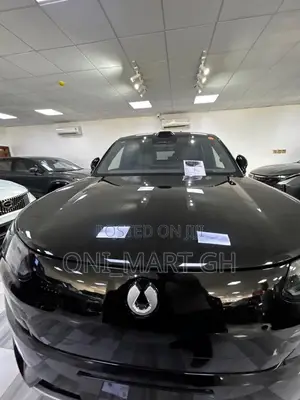 New Denza N9 2.0 Hybrid AWD 2025 Black