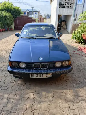 BMW 5 Series 1993 Blue