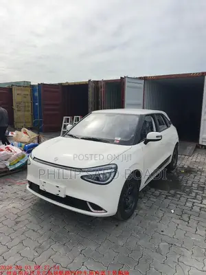 2025 Dongfeng Nammi 01 42.3 kWh 430 Air Electric Hatchback - White