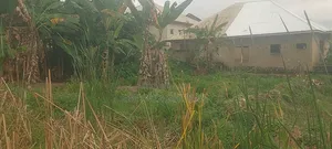 Fish Farm Land with Ponds in Kwabre