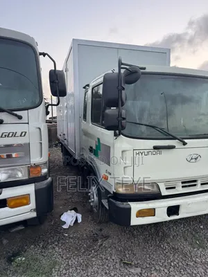 Hyundai 5 Ton Container Truck - Manual Engine