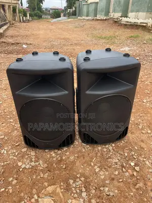 Alto PS 4Lof Mid 12 Speaker