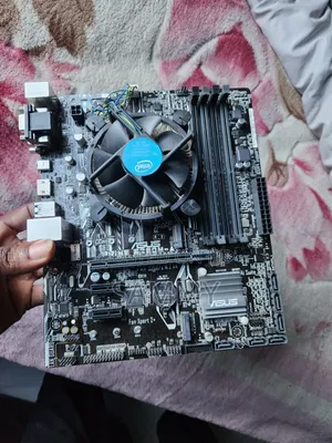 ASUS B250 Motherboard - 7th Gen Intel i5 Combo