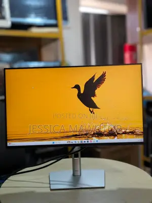 Dell P2425H 24" Full HD 100Hz IPS Monitor