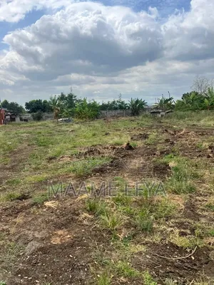 Land for Sale - Afienya, Accra