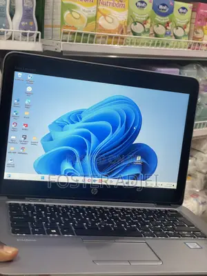 HP EliteBook 840 G3 Laptop - Intel Core i5, 8GB RAM, 256GB SSD