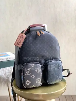 Louis Vuitton Backpack Bag