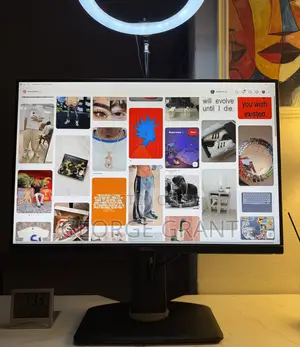 Dell Ultrasharp U2415 IPS Widescreen Monitor