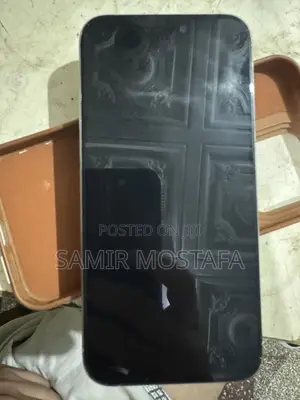 Apple iPhone 15 Pro Max 256GB Gray