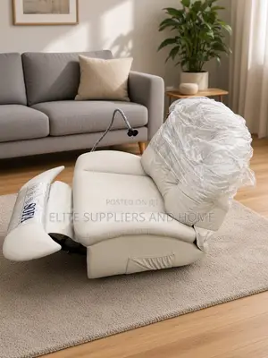 Recliner / Leisure Chair