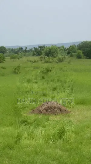Titled & Gated Residential Plot for Sale at Otsebleku