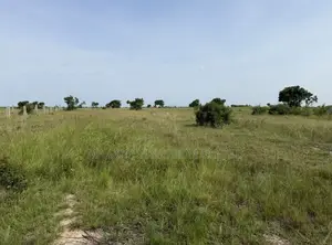 Commercial Land for Sale - Winneba Apam Road