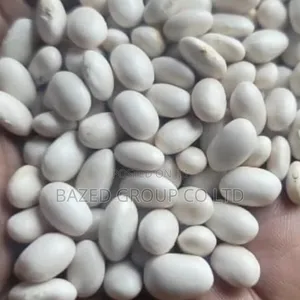 White Beans Non-GMO (Maharage Meupe)