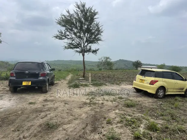 Farmland for Sale - Kiwangwa, 20 Hectares - 1