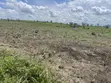 Farmland for Sale - Kiwangwa, 20 Hectares - 3
