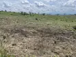 Farmland for Sale - Kiwangwa, 20 Hectares - 4