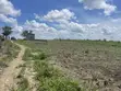 Farmland for Sale - Kiwangwa, 20 Hectares - 5