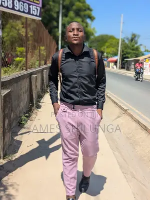 Seeking Manual Labour Work - Hardworking & Accurate