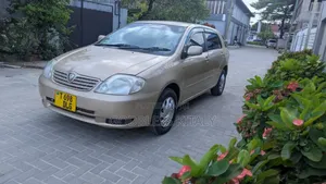 Toyota Corolla RunX 1.5 X AWD 2004 Dhahabu