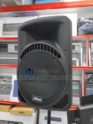 SoundSoft 15" Spika ya PA Inayochajiwa na Maikrofoni 2