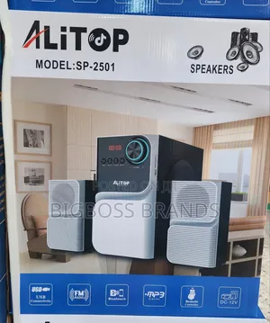 Alitop Subwoofer Model 2501