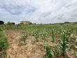 Eneo la SQM 1364 Linauzwa Bunju Mabwepande na Hati miliki - 1