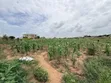Eneo la SQM 1364 Linauzwa Bunju Mabwepande na Hati miliki - 2