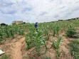 Eneo la SQM 1364 Linauzwa Bunju Mabwepande na Hati miliki - 3