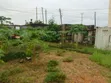 Land for Sale: Salasala Mwanzo, 2000 sqm, Prime Location - 3