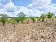 Eneo la Heka 5.5 na Gorofa Linauzwa Mbezi Mwisho - 1