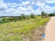 Eneo la Heka 5.5 na Gorofa Linauzwa Mbezi Mwisho - 2
