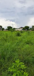 Hekta 5.7 za Ardhi Zinauzwa Mapinga, Kerege Amani - 2