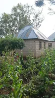 Kiwanja Kinauzwa Busweru Nyamadoke, Mwanza - 2