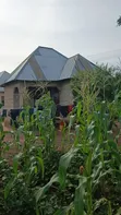 Kiwanja Kinauzwa Busweru Nyamadoke, Mwanza - 3