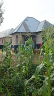 Kiwanja Kinauzwa Busweru Nyamadoke, Mwanza - 4