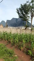 Kiwanja Kinauzwa Busweru Nyamadoke, Mwanza - 5