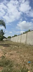 Large Farm for Sale in Dundani, Mkuranga - 1