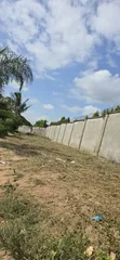 Large Farm for Sale in Dundani, Mkuranga - 2